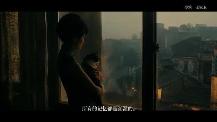 猫窗系列第 02 张，王家卫 / Wong Kar-wai 风格启发画面