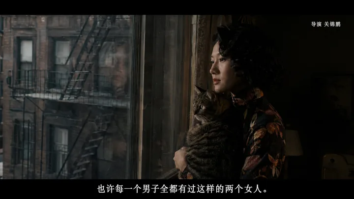 猫窗系列第 10 张，关锦鹏 / Stanley Kwan 风格启发画面