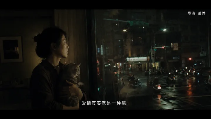 猫窗系列第 13 张，娄烨 / Lou Ye 风格启发画面