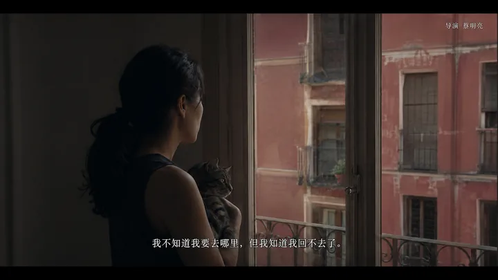 猫窗系列第 15 张，蔡明亮 / Tsai Ming-liang 风格启发画面
