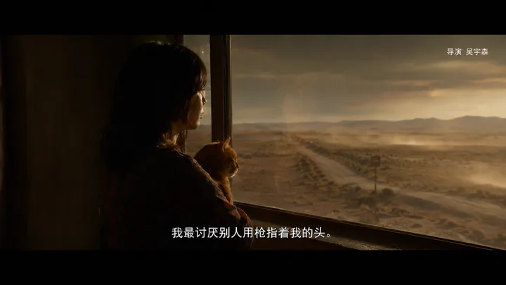 猫窗系列第 16 张，吴宇森 / John Woo 风格启发画面