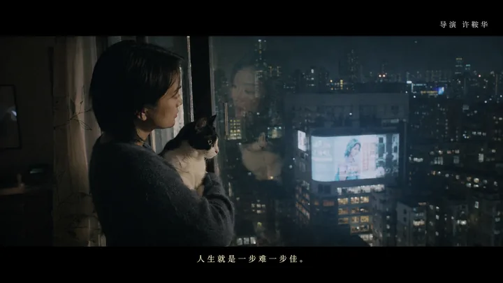 猫窗系列第 17 张，许鞍华 / Ann Hui 风格启发画面