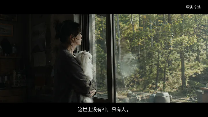 猫窗系列第 19 张，宁浩 / Ning Hao 风格启发画面