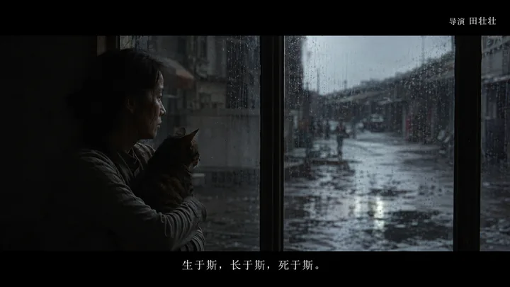 猫窗系列第 20 张，田壮壮 / Tian Zhuangzhuang 风格启发画面