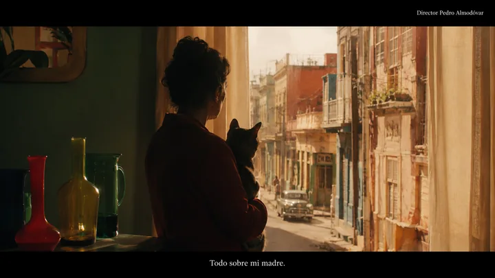 猫窗系列第 40 张，佩德罗·阿莫多瓦 / Pedro Almodóvar 风格启发画面