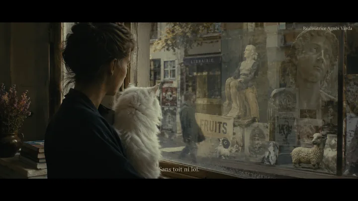 猫窗系列第 44 张，阿涅斯·瓦尔达 / Agnès Varda 风格启发画面