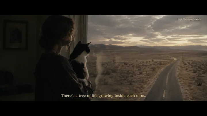 猫窗系列第 47 张，泰伦斯·马力克 / Terrence Malick 风格启发画面