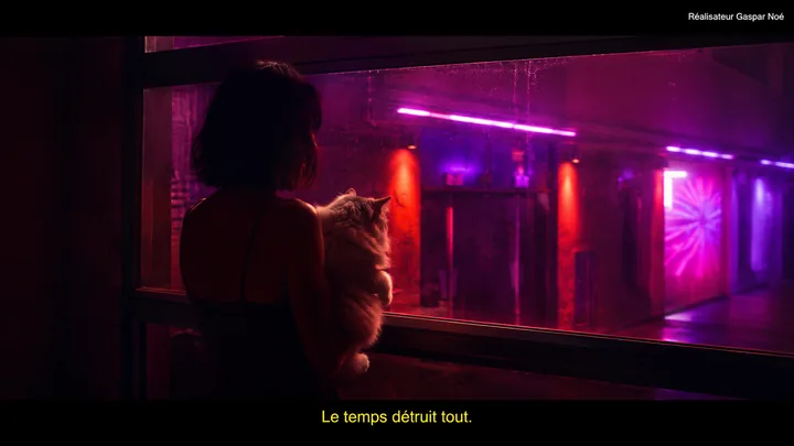 猫窗系列第 49 张，加斯帕·诺 / Gaspar Noé 风格启发画面