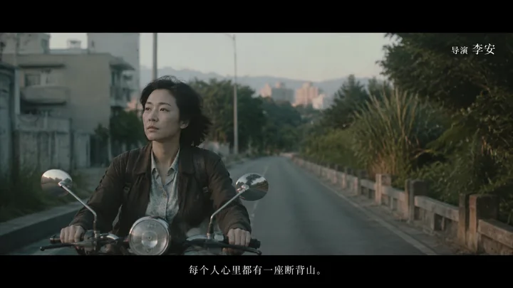 第 03 张，李安 / Ang Lee 风格启发画面