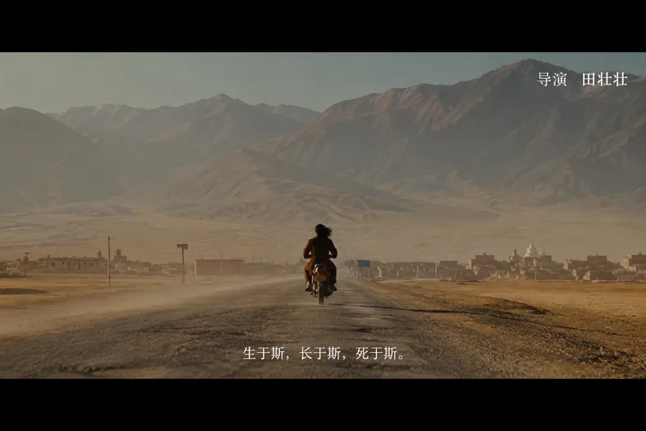 第 20 张，田壮壮 / Tian Zhuangzhuang 风格启发画面