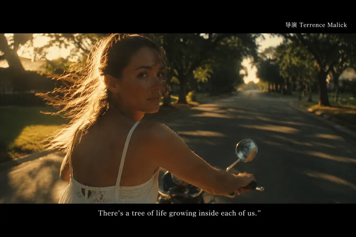 第 47 张，泰伦斯·马利克 / Terrence Malick 风格启发画面