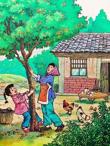 高清课本插图_桂花雨_01 原图