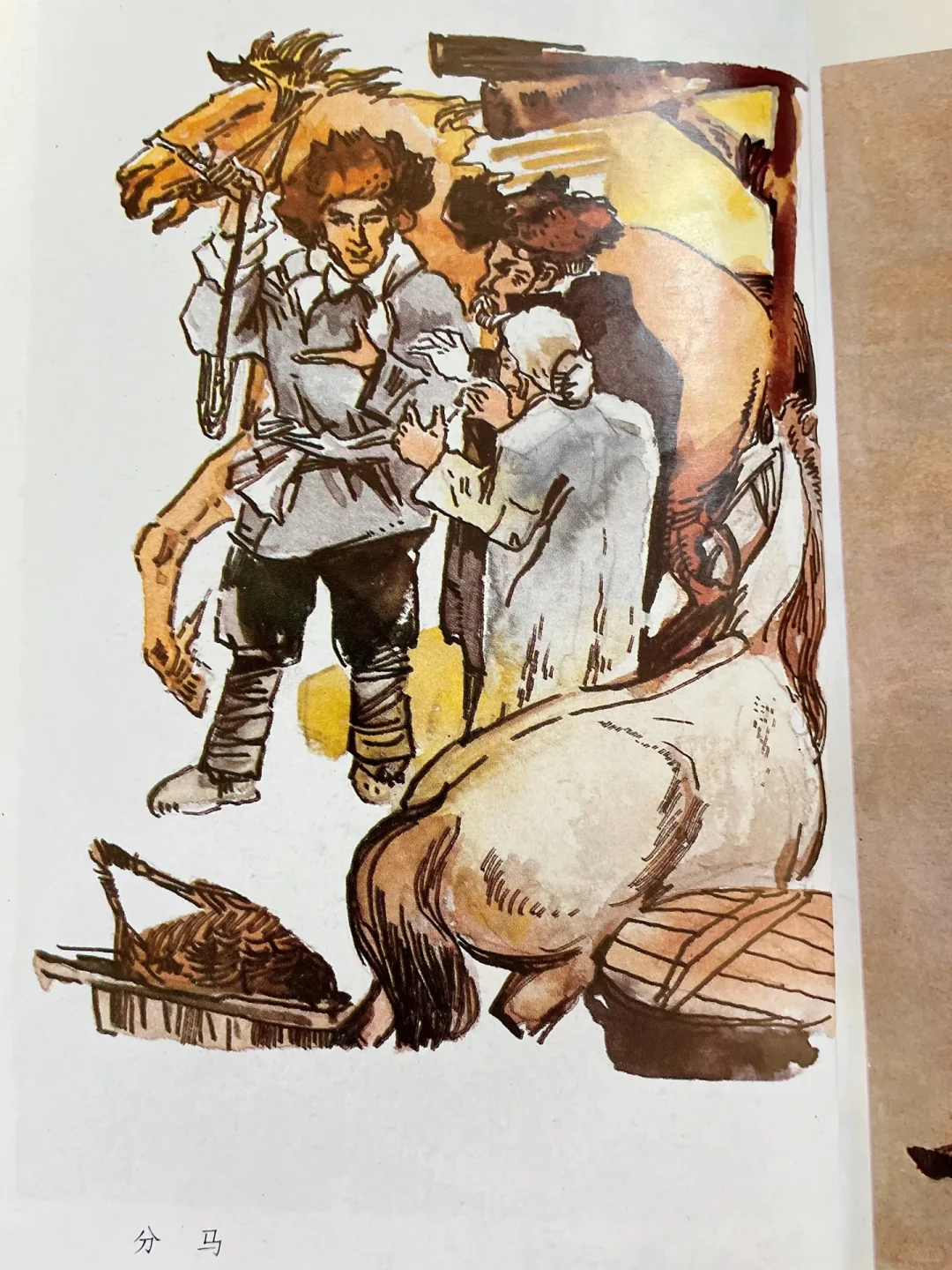 高清课本插图_分马_01 原图