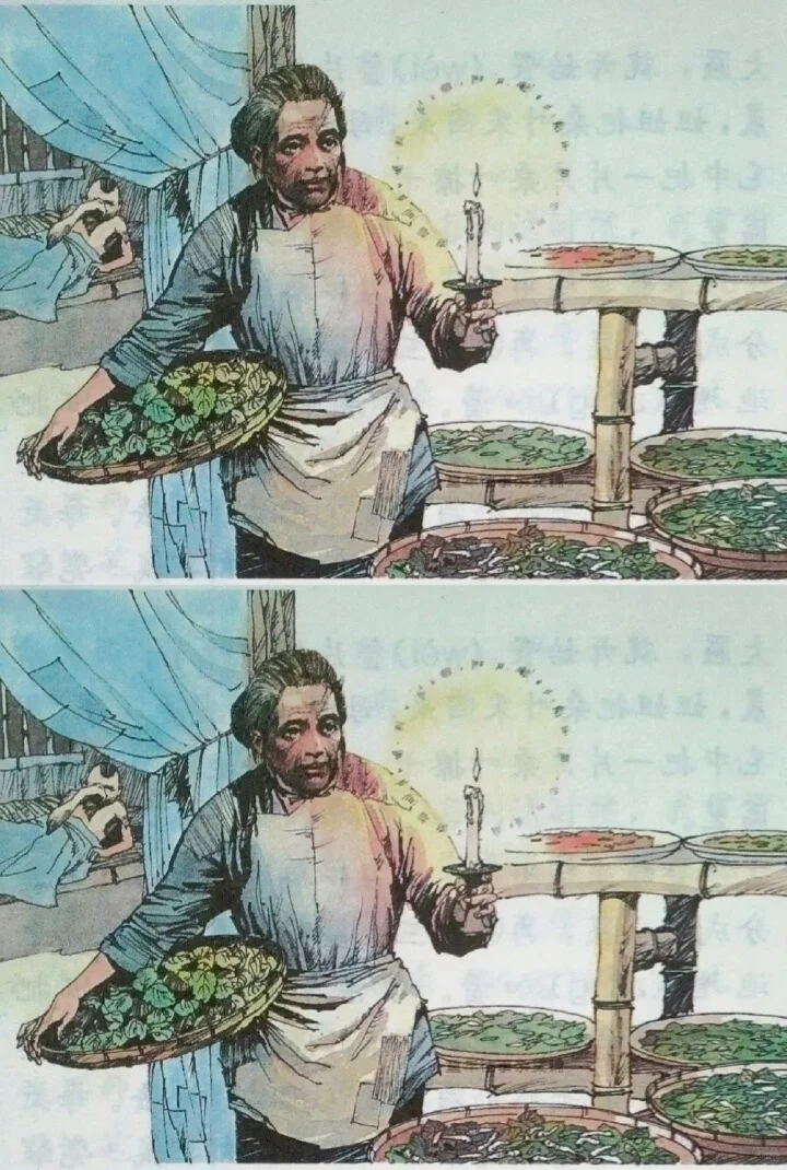 高清课本插图_春蚕_01 原图