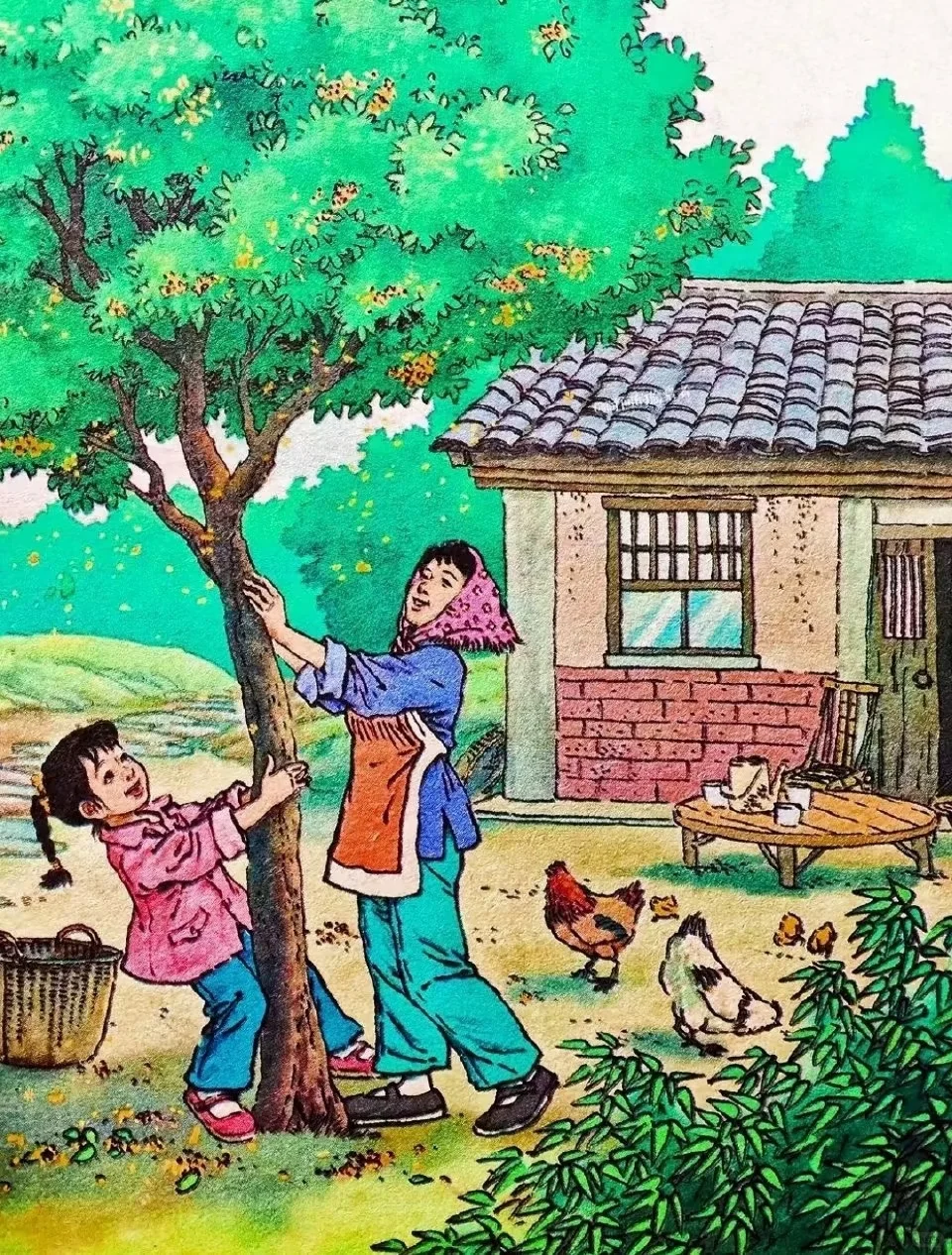 高清课本插图_桂花雨_01 原图