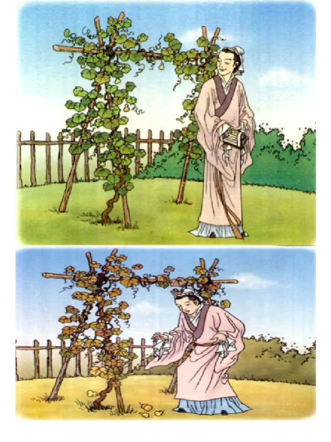 高清课本插图_要的是葫芦_01 原图